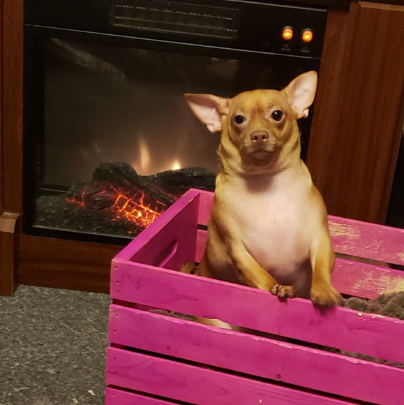 Meet your Posher, Heather - Picture 4 of 4